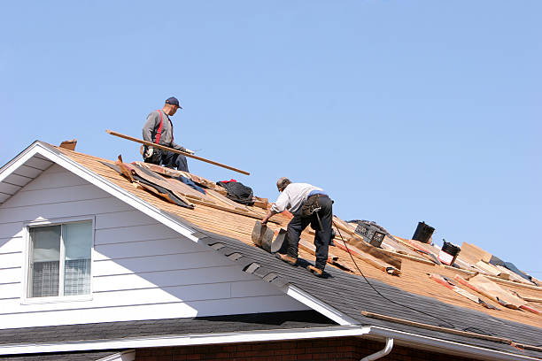 Best Metal Roofing Installation  in Ludlow, KY